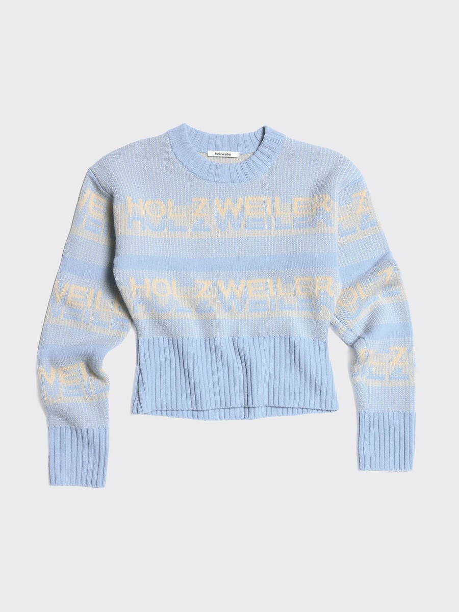 ski cropped crewneck sweater