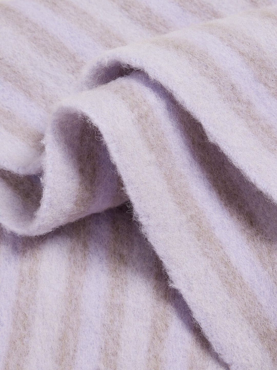 aster stripe