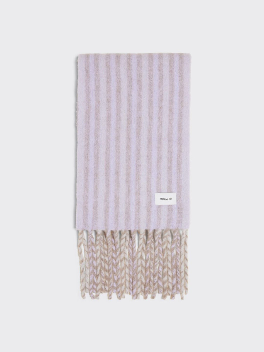 aster stripe